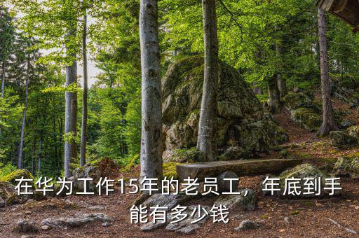 在華為工作15年的老員工，年底到手能有多少錢