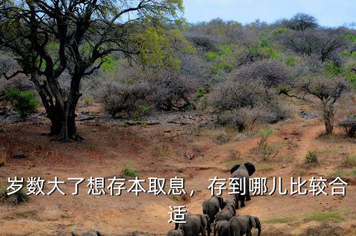 歲數(shù)大了想存本取息，存到哪兒比較合適