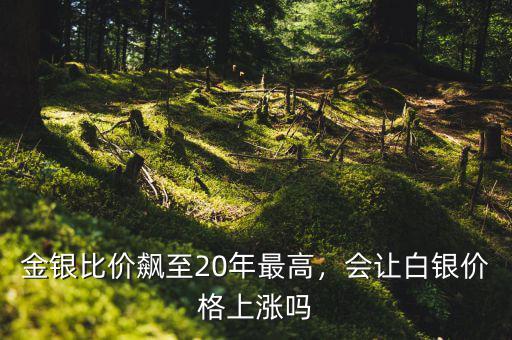 金銀比價飆至20年最高，會讓白銀價格上漲嗎