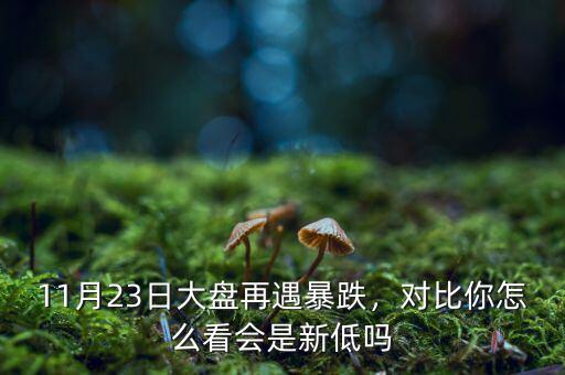 11月23日大盤再遇暴跌，對比你怎么看會是新低嗎