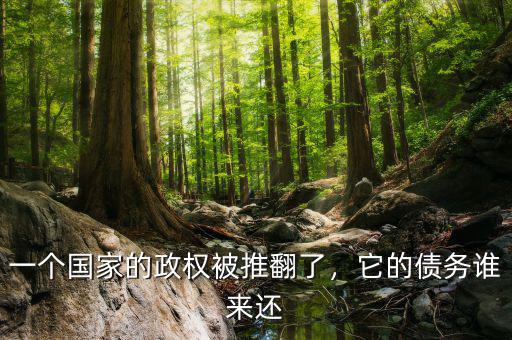 一個(gè)國家的政權(quán)被推翻了，它的債務(wù)誰來還