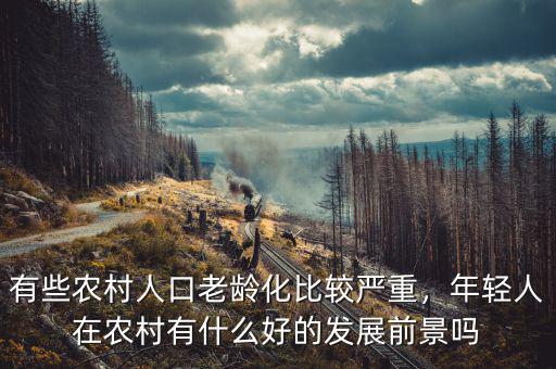 有些農(nóng)村人口老齡化比較嚴(yán)重，年輕人在農(nóng)村有什么好的發(fā)展前景嗎