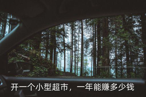 開(kāi)一個(gè)小型超市，一年能賺多少錢