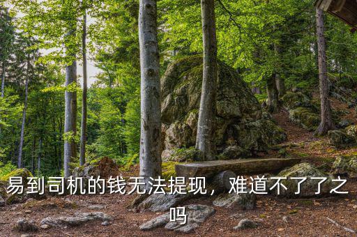 易到司機的錢無法提現，難道不了了之嗎