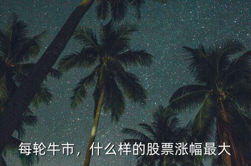 每輪牛市，什么樣的股票漲幅最大