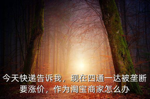 今天快遞告訴我，現(xiàn)在四通一達(dá)被壟斷要漲價(jià)，作為淘寶商家怎么辦