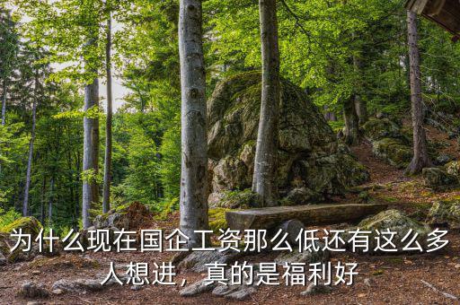 為什么現(xiàn)在國企工資那么低還有這么多人想進，真的是福利好