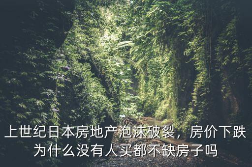 上世紀(jì)日本房地產(chǎn)泡沫破裂，房?jī)r(jià)下跌為什么沒有人買都不缺房子嗎
