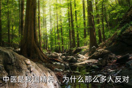 中醫(yī)是我國精粹，為什么那么多人反對(duì)