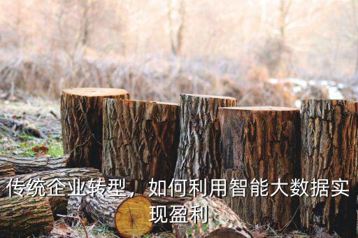 傳統(tǒng)企業(yè)轉(zhuǎn)型，如何利用智能大數(shù)據(jù)實現(xiàn)盈利