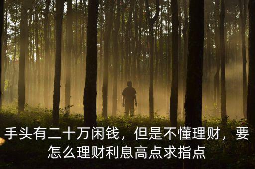 手頭有二十萬閑錢，但是不懂理財，要怎么理財利息高點求指點