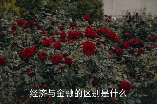 經(jīng)濟與金融是什么,金融學和經(jīng)濟學的區(qū)別是什么