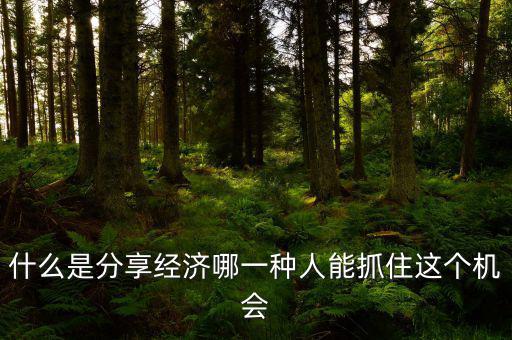 什么是分享經(jīng)濟(jì)哪一種人能抓住這個(gè)機(jī)會