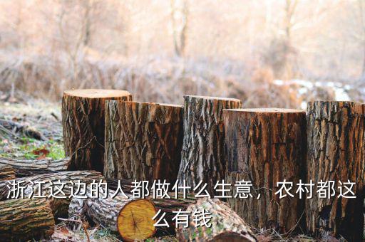浙江這邊的人都做什么生意，農(nóng)村都這么有錢(qián)
