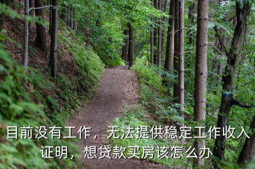 目前沒有工作，無法提供穩(wěn)定工作收入證明，想貸款買房該怎么辦