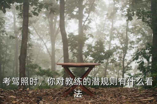 考駕照時(shí)，你對(duì)教練的潛規(guī)則有什么看法