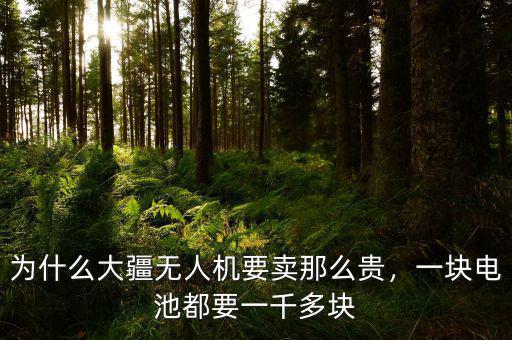 為什么大疆無人機(jī)要賣那么貴，一塊電池都要一千多塊