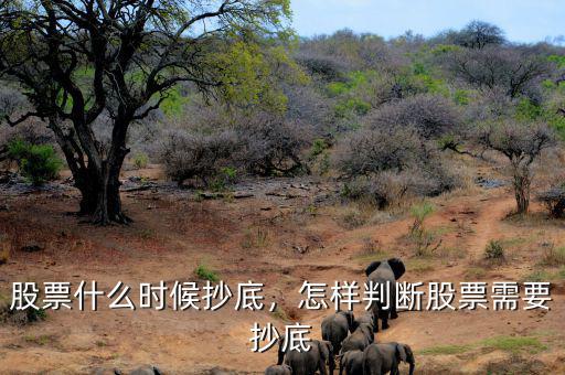 股票什么時候抄底，怎樣判斷股票需要抄底