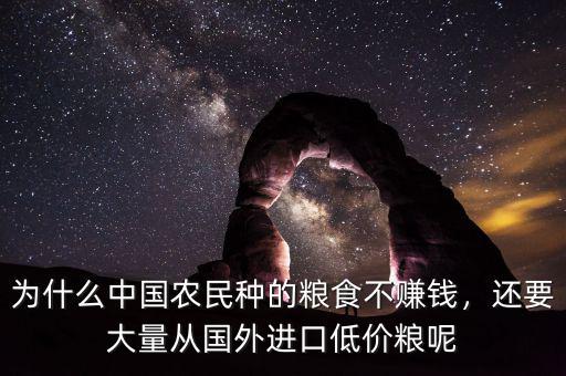 為什么中國農(nóng)民種的糧食不賺錢，還要大量從國外進口低價糧呢