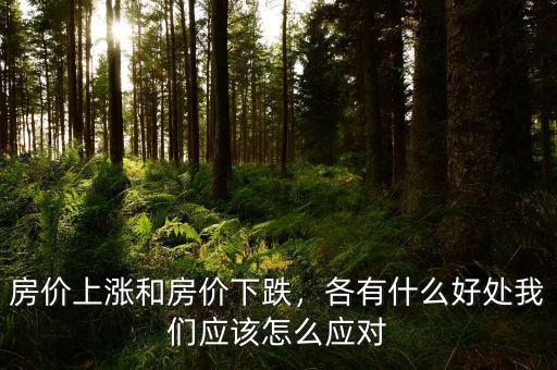 房價上漲和房價下跌，各有什么好處我們應該怎么應對