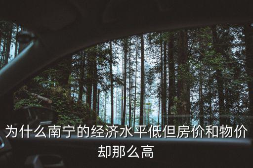 為什么南寧的經濟水平低但房價和物價卻那么高