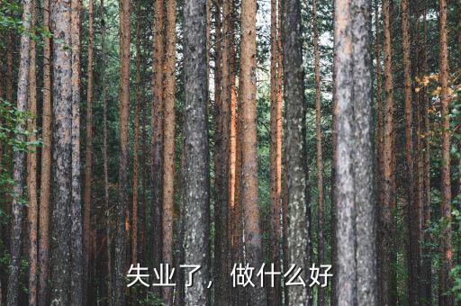 失業(yè)了，做什么好
