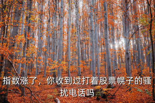 指數漲了，你收到過打著股票幌子的騷擾電話嗎