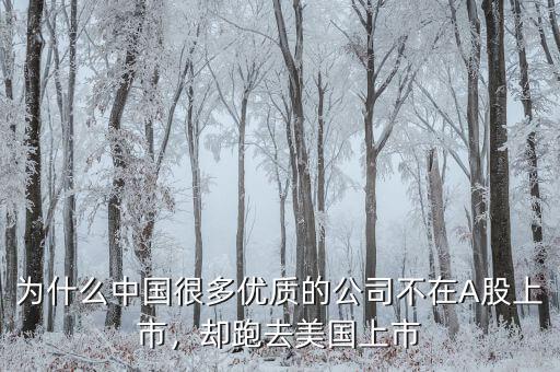 不盈利為什么能在美國上市,卻在美國上市。為什么