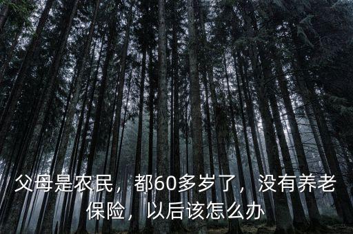 父母是農(nóng)民，都60多歲了，沒有養(yǎng)老保險(xiǎn)，以后該怎么辦