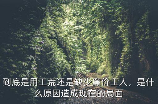 到底是用工荒還是缺少廉價(jià)工人，是什么原因造成現(xiàn)在的局面