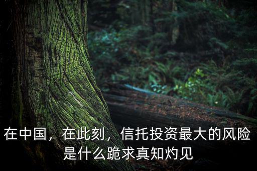 在中國，在此刻，信托投資最大的風(fēng)險是什么跪求真知灼見
