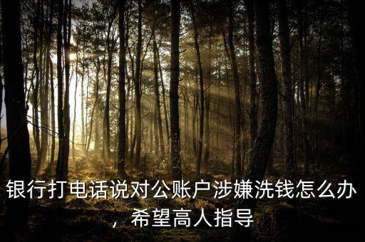 銀行打電話說(shuō)對(duì)公賬戶涉嫌洗錢(qián)怎么辦，希望高人指導(dǎo)