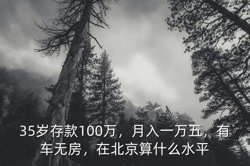 35歲存款100萬，月入一萬五，有車無房，在北京算什么水平