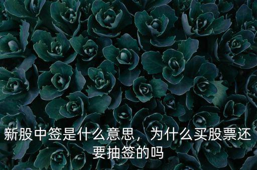 新股中簽是什么意思，為什么買股票還要抽簽的嗎