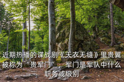 近期熱播的諜戰(zhàn)劇《天衣無縫》里貴翼被稱為“貴軍門”，軍門是軍隊中什么職務(wù)或級別