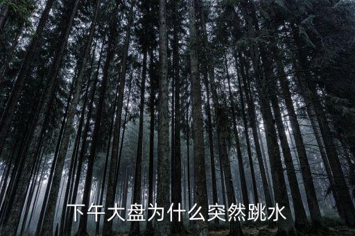 下午大盤(pán)為什么突然跳水