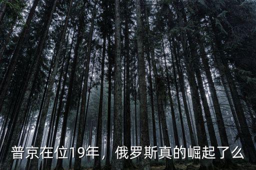 普京在位19年，俄羅斯真的崛起了么