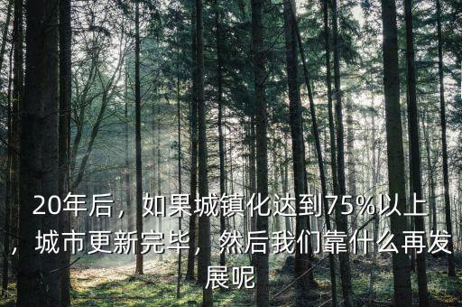 20年后，如果城鎮(zhèn)化達到75%以上，城市更新完畢，然后我們靠什么再發(fā)展呢
