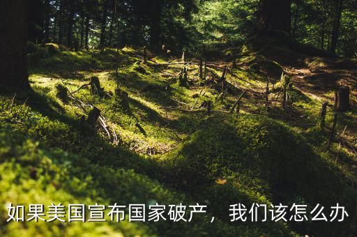 如果美國宣布國家破產，我們該怎么辦