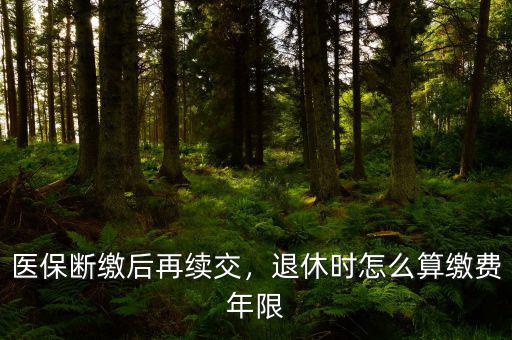 醫(yī)保斷繳后再續(xù)交，退休時怎么算繳費年限