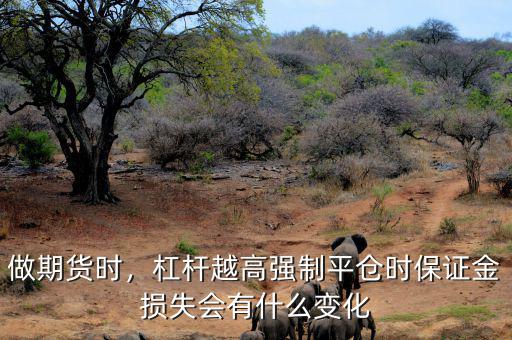 做期貨時(shí)，杠桿越高強(qiáng)制平倉時(shí)保證金損失會(huì)有什么變化