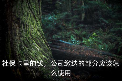 公司交的社保怎么用,社?？ɡ锏腻X(qián)