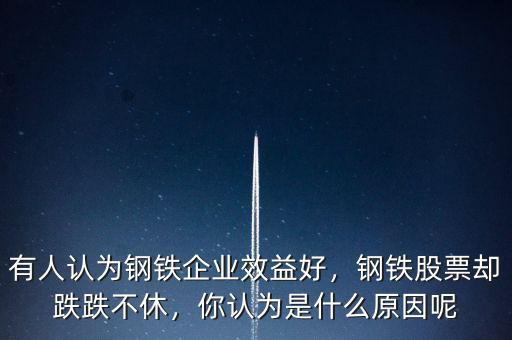 有人認(rèn)為鋼鐵企業(yè)效益好，鋼鐵股票卻跌跌不休，你認(rèn)為是什么原因呢