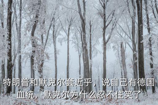 特朗普和默克爾套近乎，說自己有德國(guó)血統(tǒng)，默克爾為什么忍不住笑了