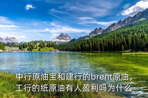 中行原油寶和建行的brent原油，工行的紙?jiān)陀腥擞麊釣槭裁? class=