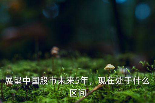 展望中國(guó)股市未來(lái)5年，現(xiàn)在處于什么區(qū)間