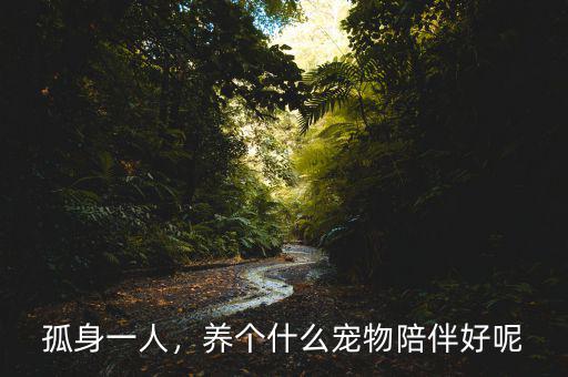 孤身一人，養(yǎng)個什么寵物陪伴好呢