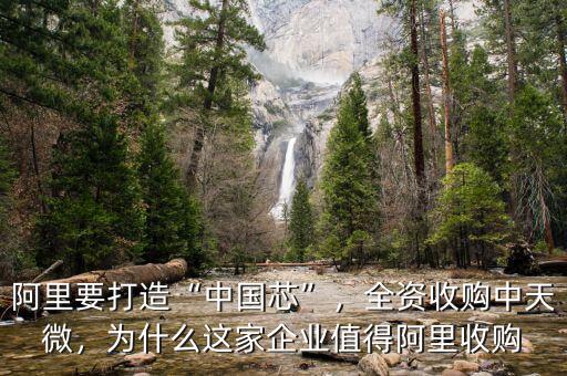 阿里要打造“中國(guó)芯”，全資收購(gòu)中天微，為什么這家企業(yè)值得阿里收購(gòu)