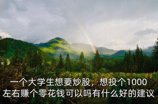 一個大學(xué)生想要炒股，想投個1000左右賺個零花錢可以嗎有什么好的建議