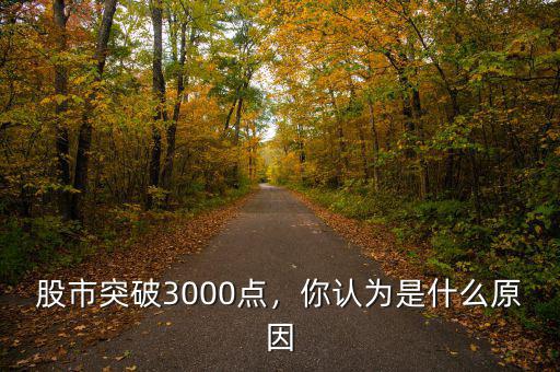 股市突破3000點(diǎn)，你認(rèn)為是什么原因